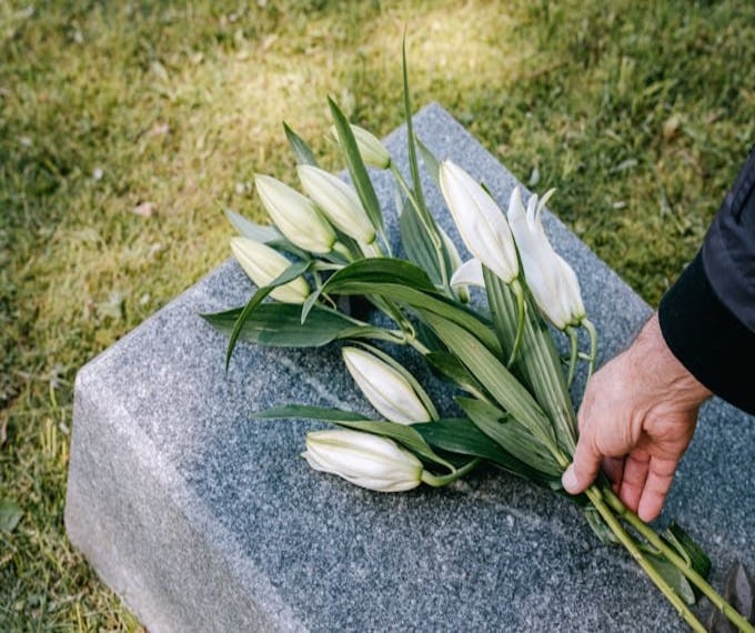 cimitero animali milano