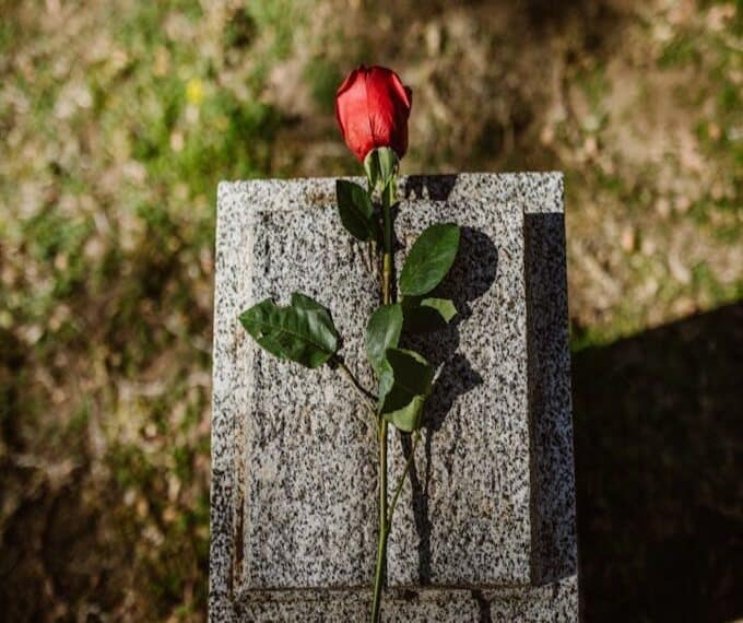 cimitero per animali guida